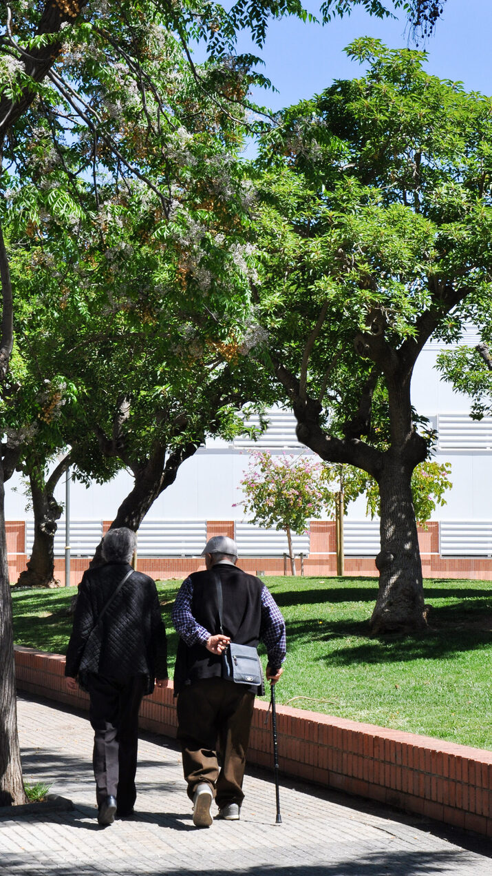 Extension of CAP Torreforta – La Granja
