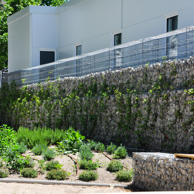 Ampliación del CAP Anoia, en Igualada