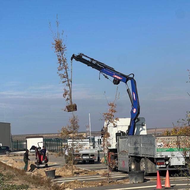 Inici Plantació Obres Aeroport Alguaire